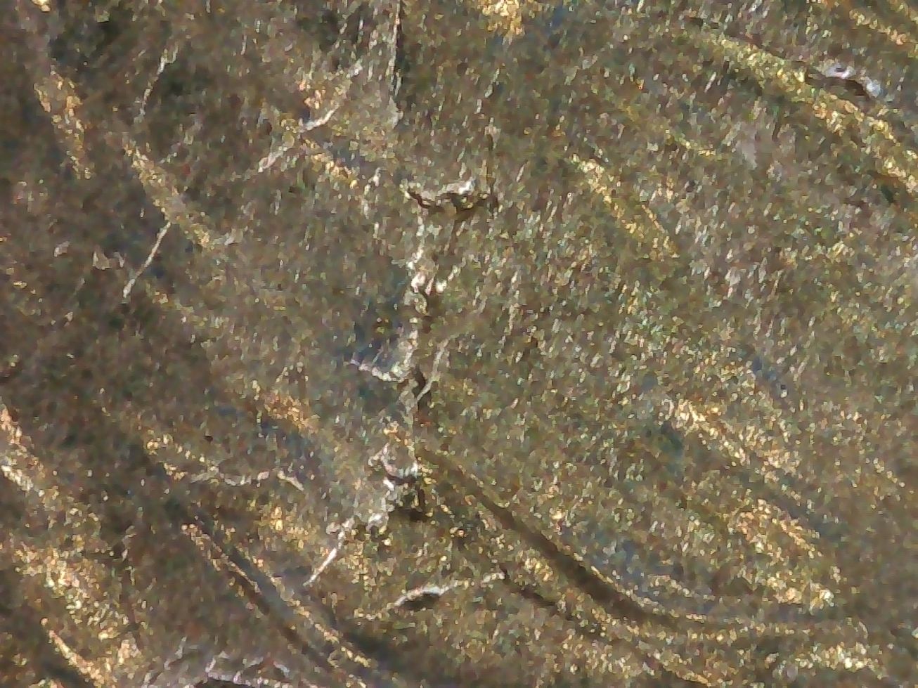 2021-Dime,-Whats-Going-On?